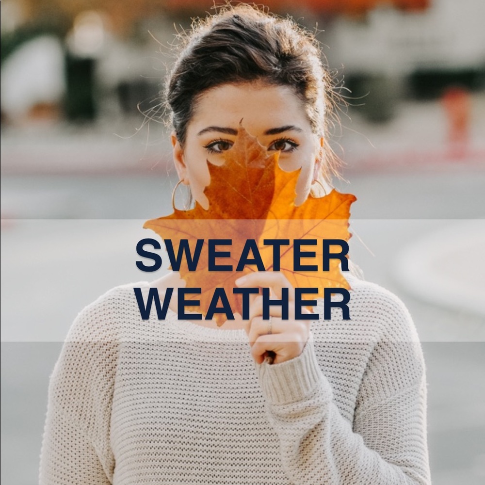 🍁 SWEATER WEATHER VIBES